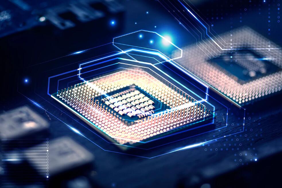 2010年国足世界杯阵容 2010湖人的全部阵容